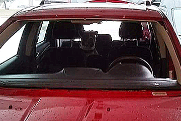 Dan Dan, the Auto Glass Man - Grand Rapids MI - Windshield Removed